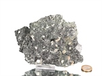 Magnesit Kristall in Chloritschiefer (Zillertal)