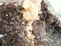 Amethystdrusen Paar XL auf Ständer