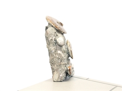 Ammoniten Skulptur (montiert)