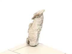 Ammoniten Skulptur (montiert)