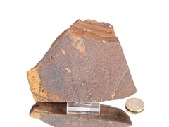 Druzy Hämatit auf Tigereisen