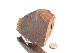 Druzy Hämatit auf Tigereisen