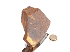 Druzy Hämatit auf Tigereisen