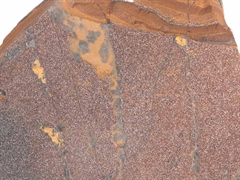 Druzy Hämatit auf Tigereisen