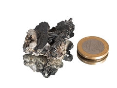 Eisenrose - Zillertal