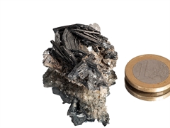 Eisenrose - Zillertal