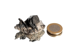 Eisenrose - Zillertal