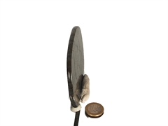 Labradorit XL Platte AAA