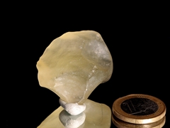 Libysches Wüstenglas - goldener Tektit