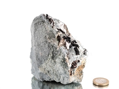 Neptunit Kristalle auf Matrix