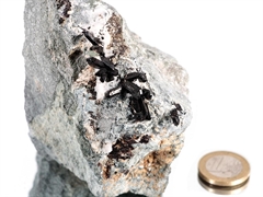 Neptunit Kristalle auf Matrix