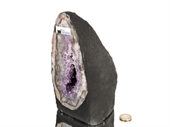 nette, kleinere Amethyst-Kristalldruse