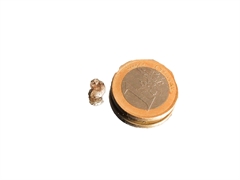 Diamant - Rohdiamant - Diamantkristall -  1,05 ct