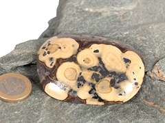 Schalenblende