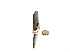 Spektrolit Anschliff