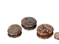 Ibis Jaspis Taschenstein - 1 Stück