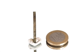 Turmalin Scheibe - rotes Dreieck! (Wassermelonen Turmalin)