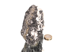 Zinkblende mit Calcit - Trepca