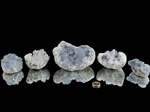Coelestin - Kristallstufen/Geoden EXTRA-Qualität - 1 kg