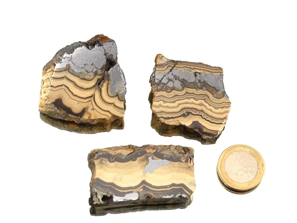 Schalenblende - Sphalerit/Galenit/Bleiglanz Rohstein Anschliff