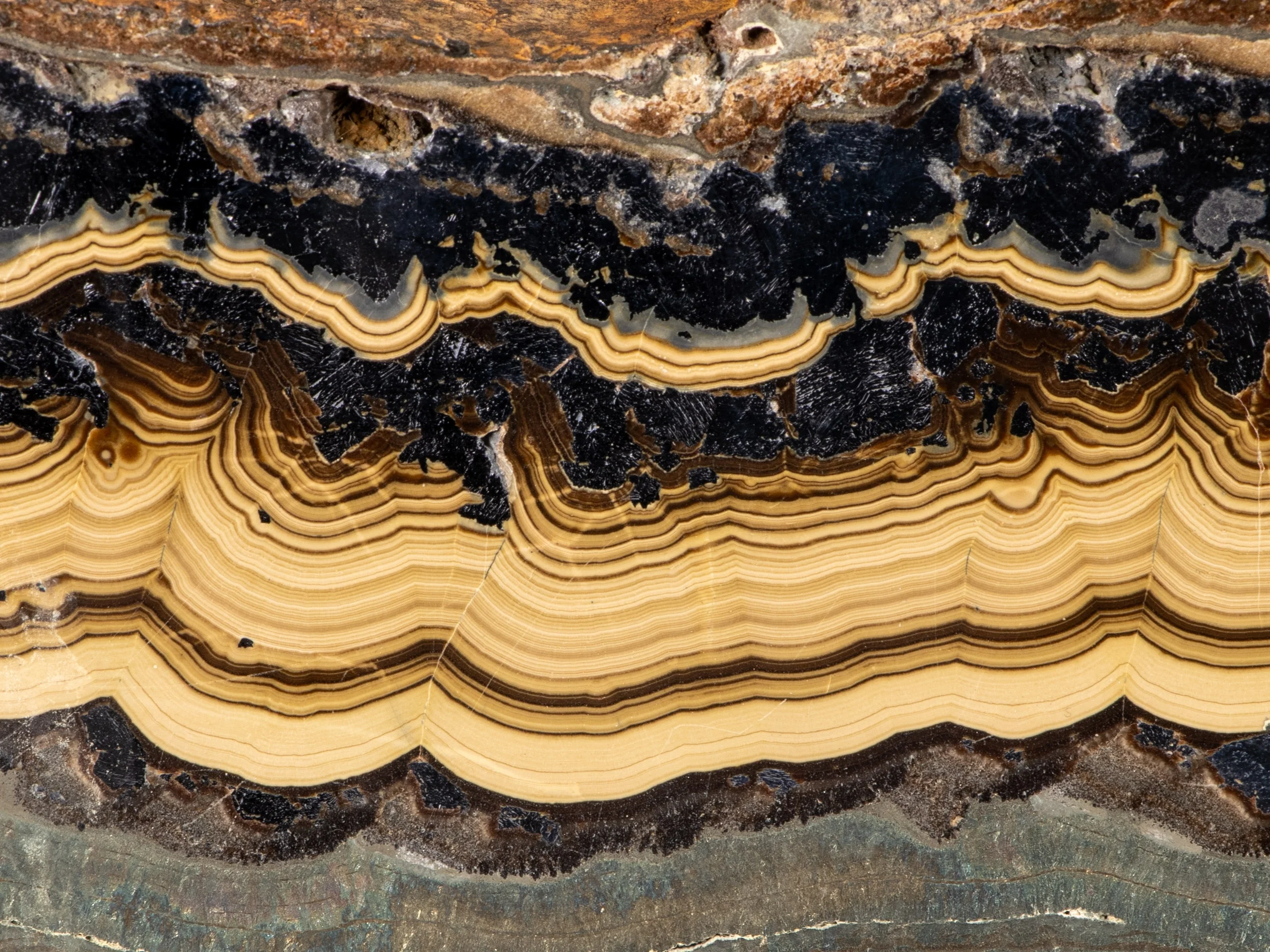 Schalenblende XL