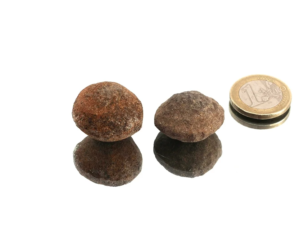 Moqui marbles - living stones, 1 pair**