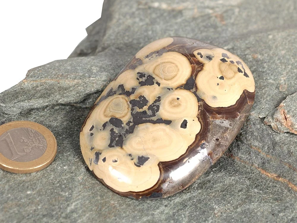 Schalenblende