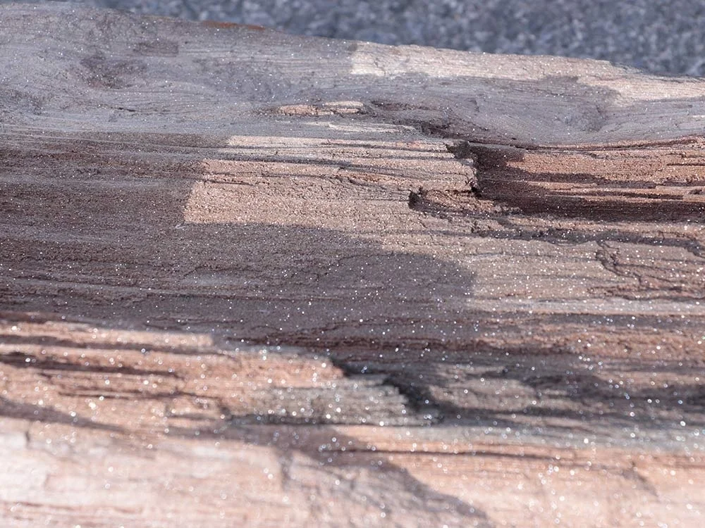 glitzerndes, verkieseltes Holz - Feenholz
