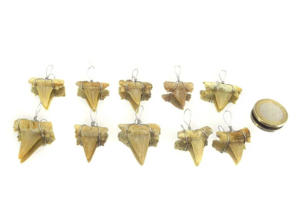 Shark tooth (fossil) pendant - 10 pieces**