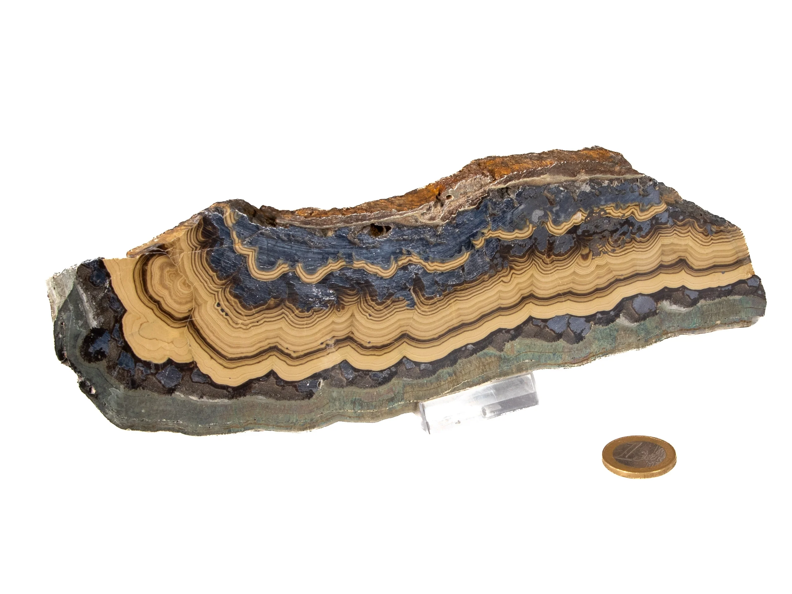 Schalenblende XL