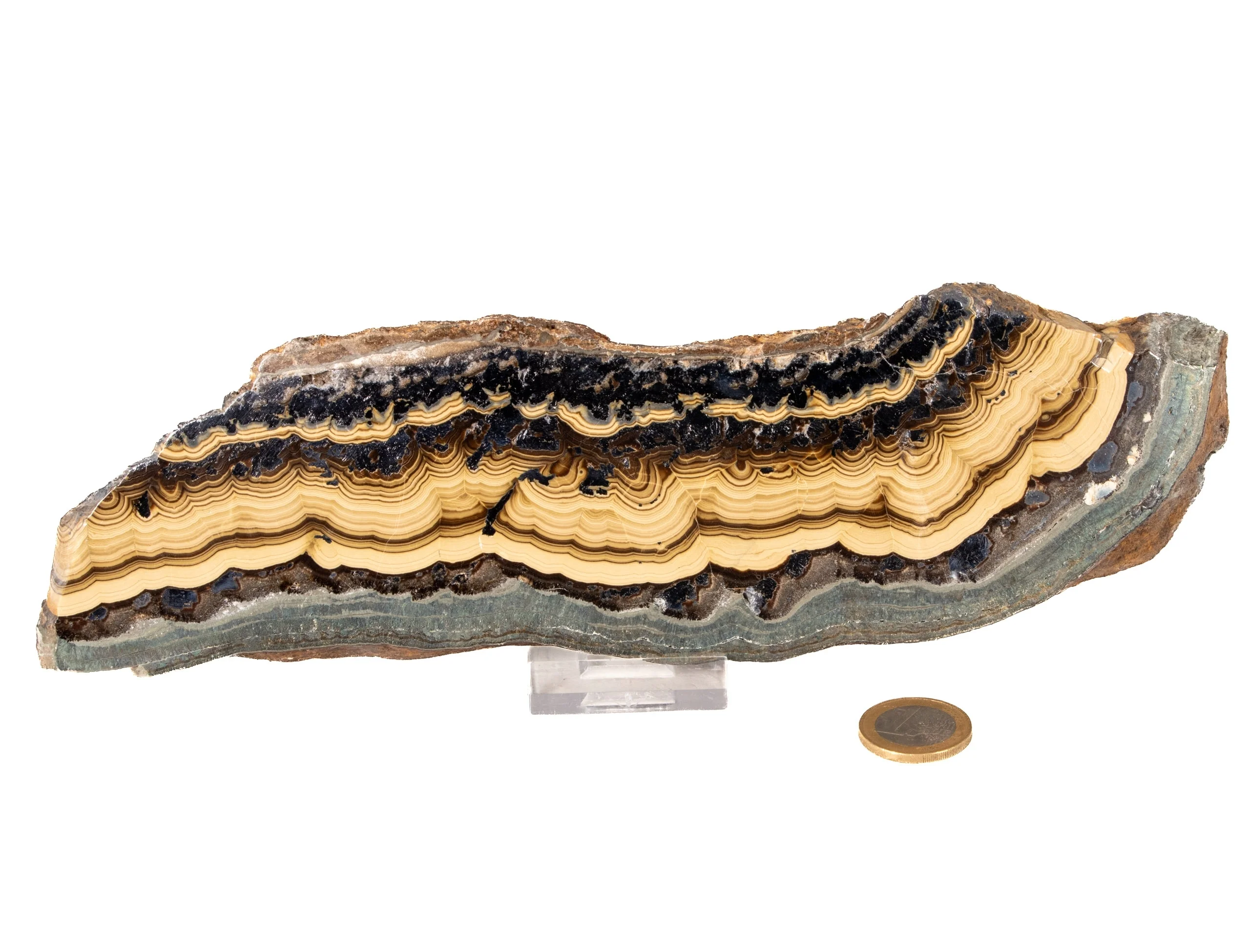 Schalenblende XL