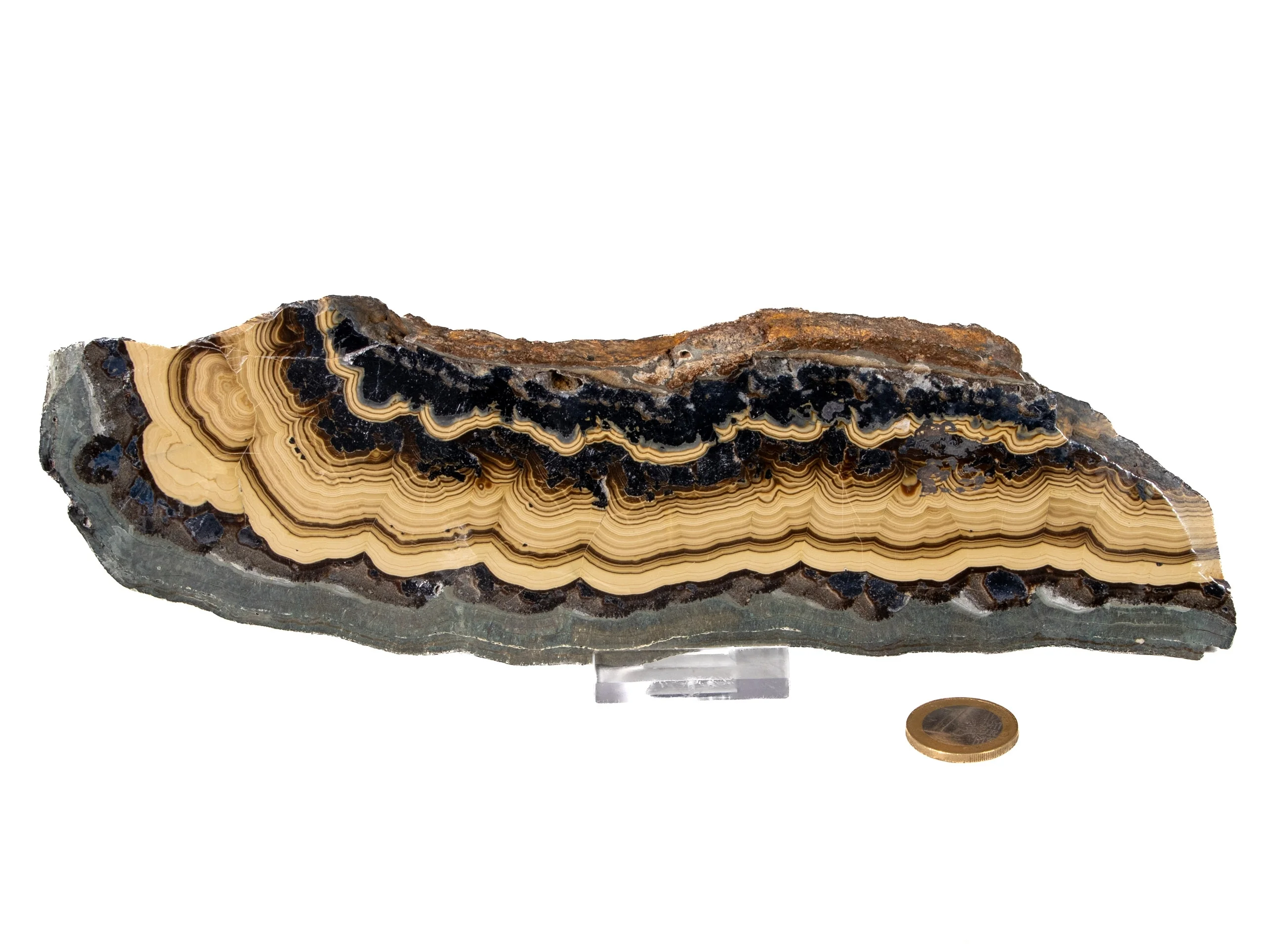Schalenblende XL